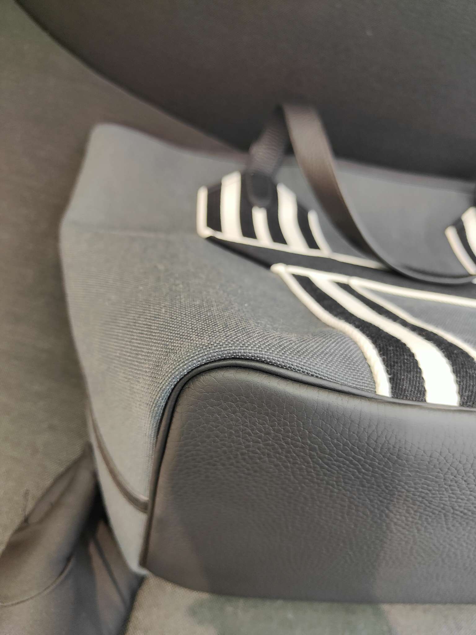 Hermes Canvas Tote