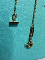 Tiffany Necklace