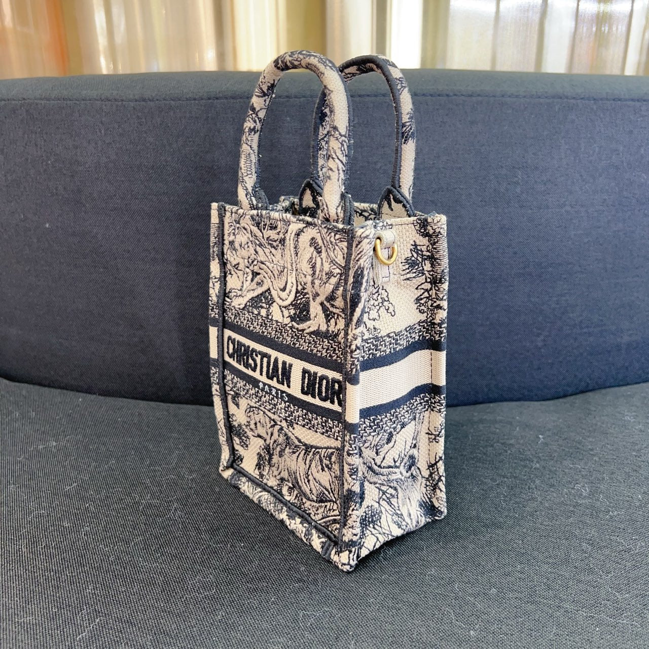 Dior Crossbody