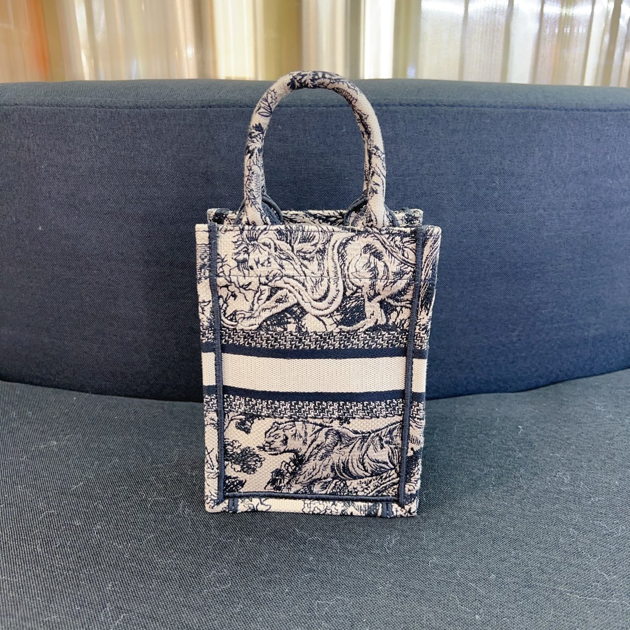 Dior Crossbody