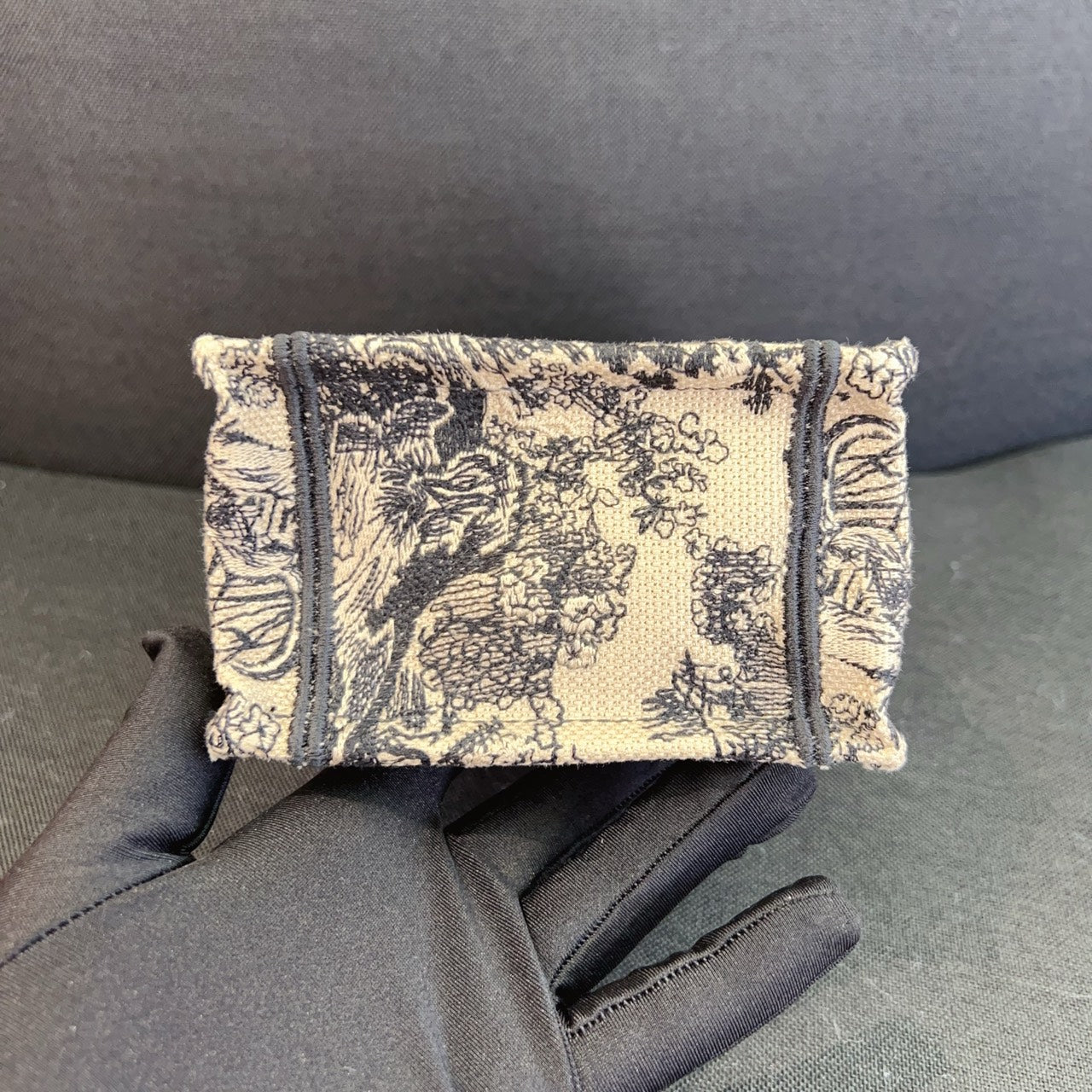 Dior Crossbody