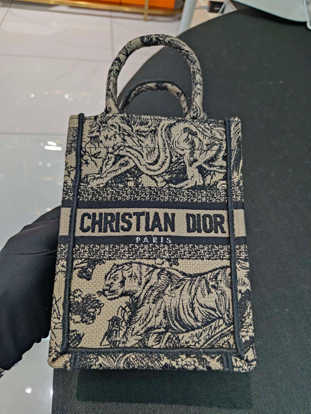 Dior Crossbody