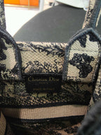 Dior Crossbody