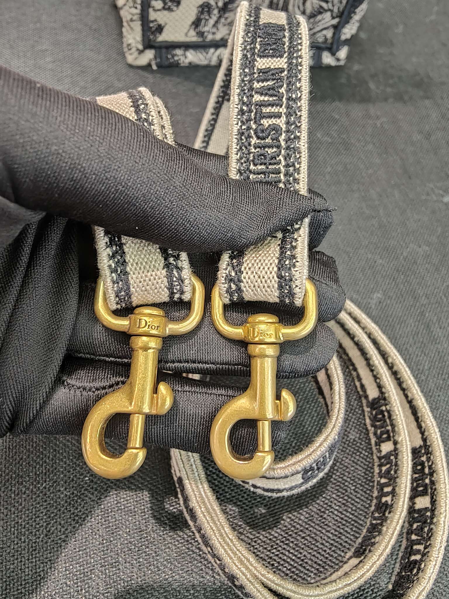 Dior Crossbody
