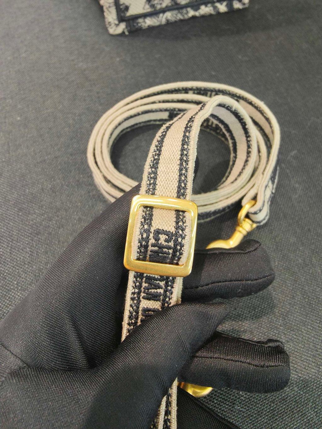 Dior Crossbody
