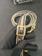 Dior Crossbody