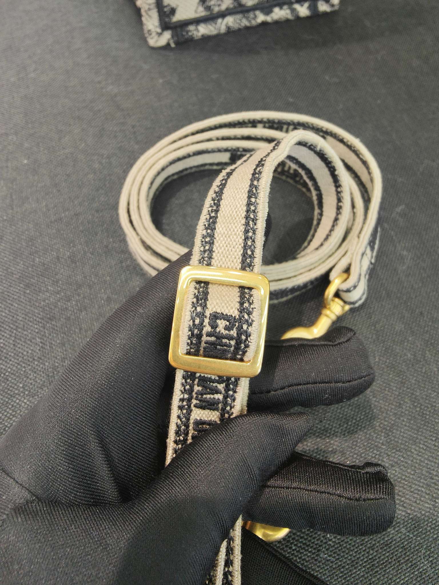 Dior Crossbody