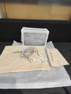 Louis Vuitton Clear