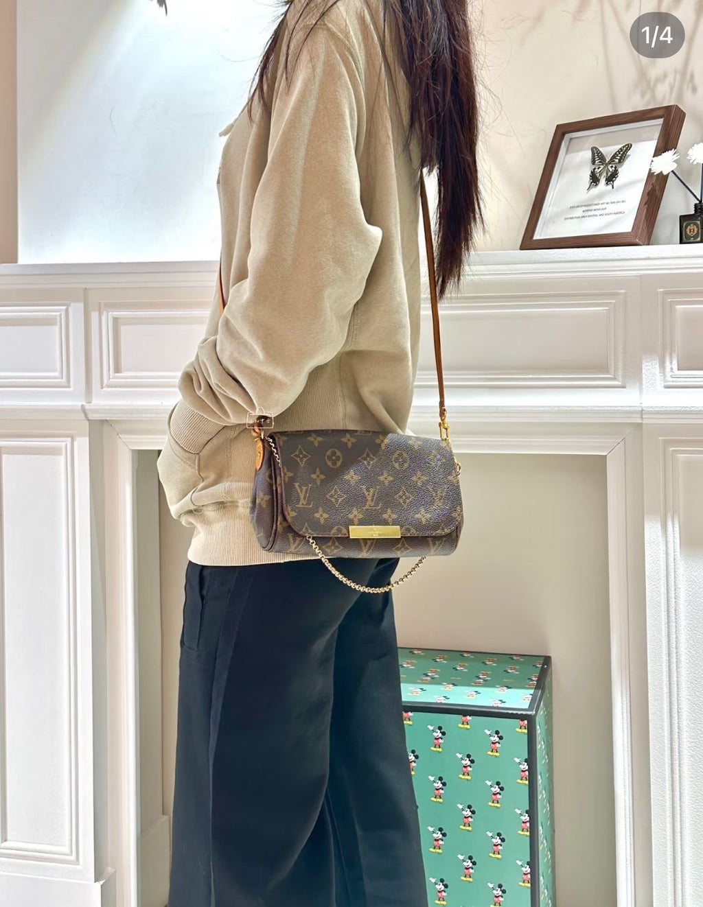 Louis Vuitton Favorite