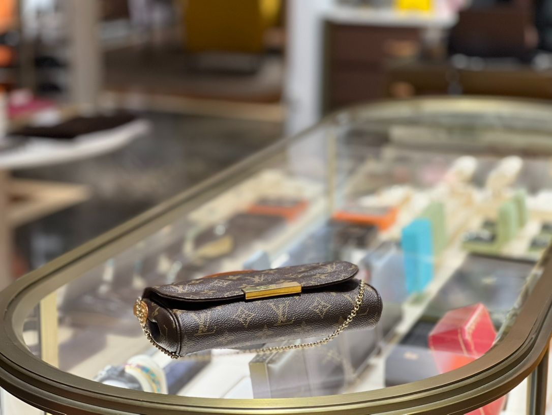 Louis Vuitton Favorite
