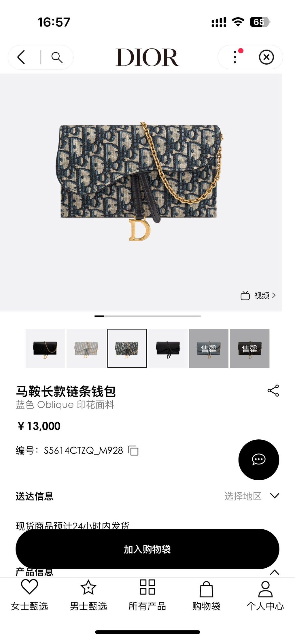 Dior Canvas Blue