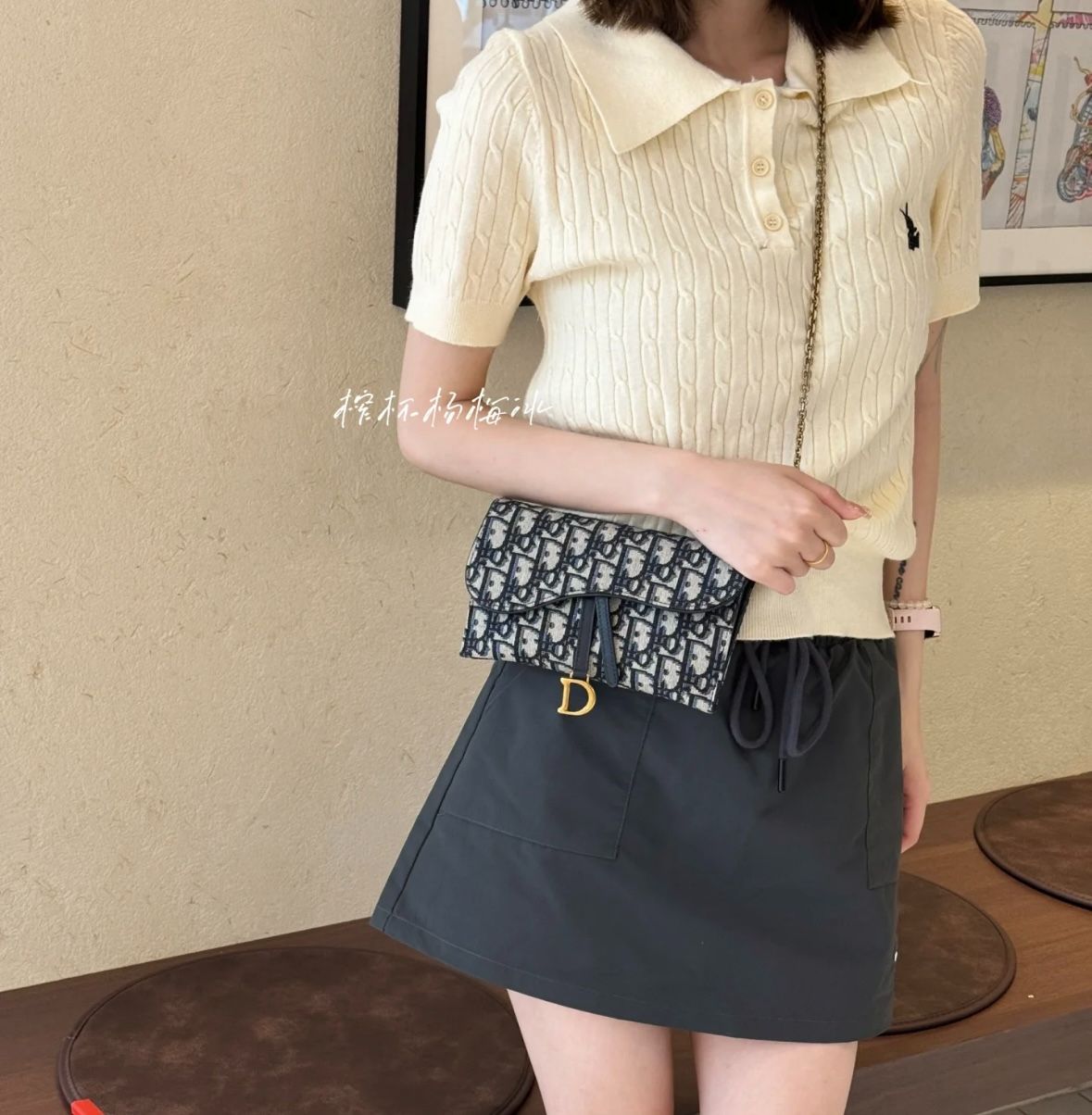Dior Canvas Blue