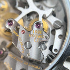 Omega Professional Series 42  310.20.42.50.02.001