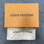 Louis Vuitton Skate shoes