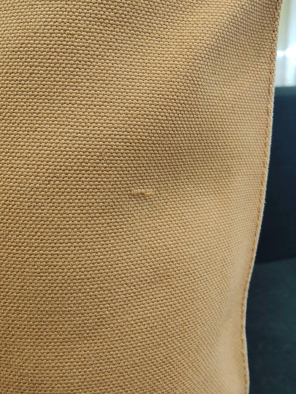 Loewe Tote