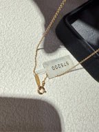 Chanel COCO bracelet Necklace J12365