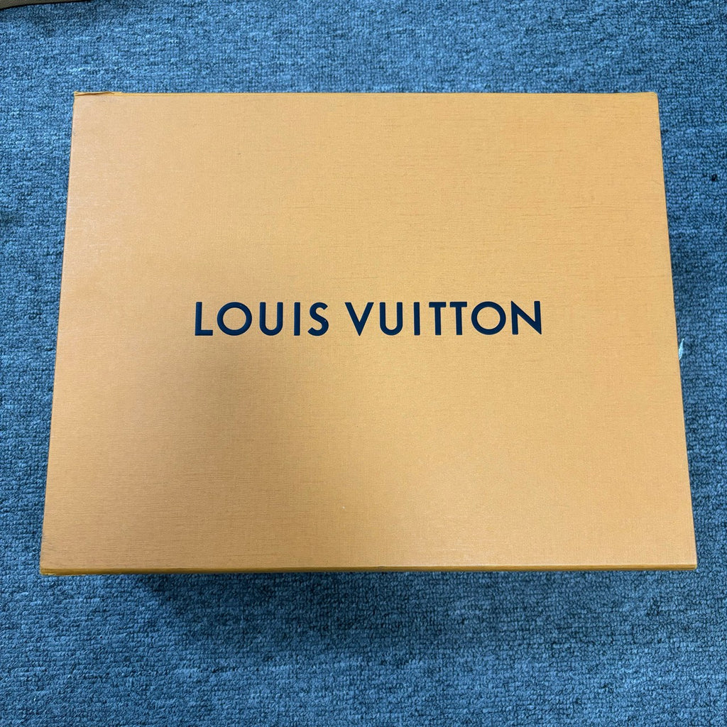Louis Vuitton Lou Skate shoes