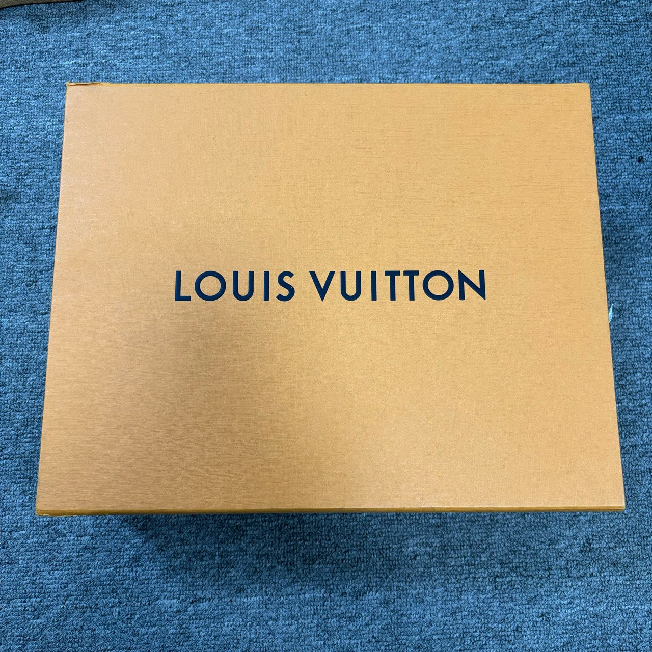 Louis Vuitton Lou Skate shoes