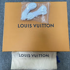 Louis Vuitton Skate shoes