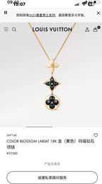 Louis Vuitton Necklace