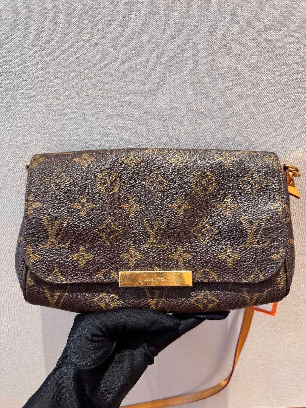 Louis Vuitton Favorite