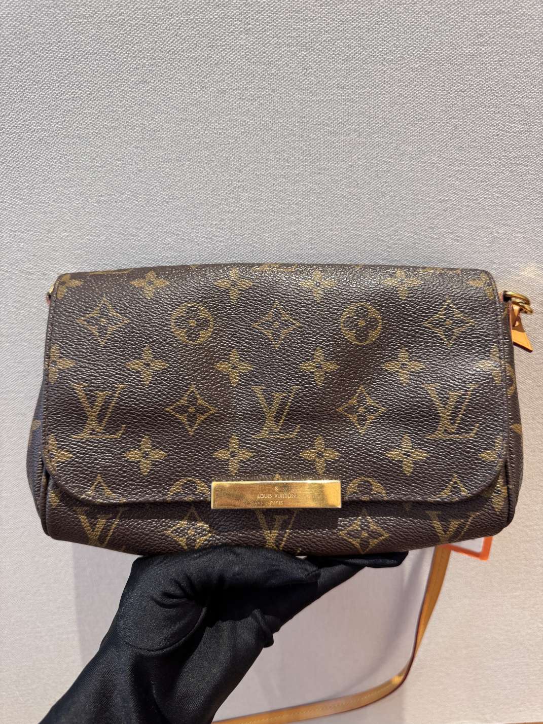 Louis Vuitton Favorite
