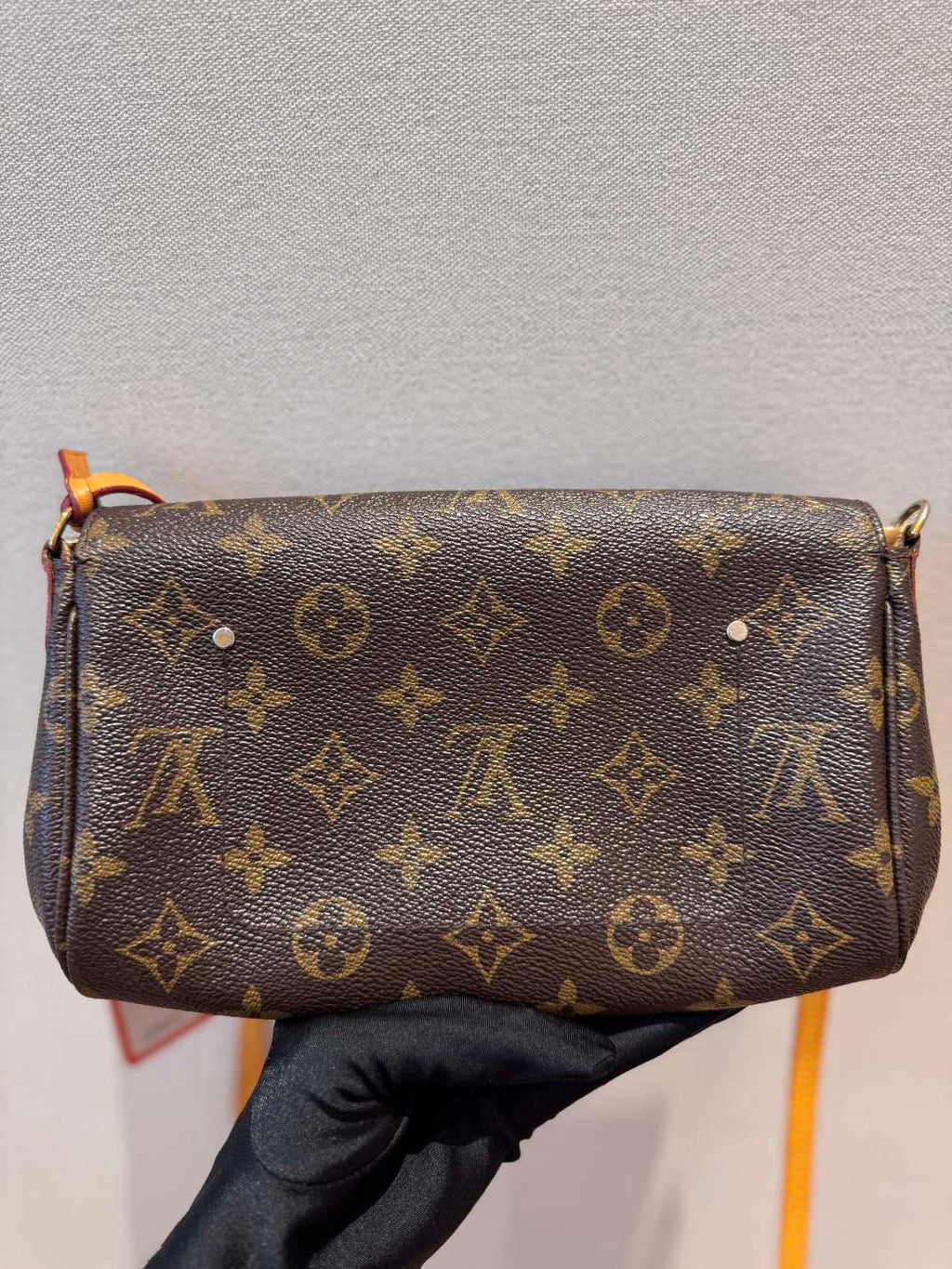 Louis Vuitton Favorite
