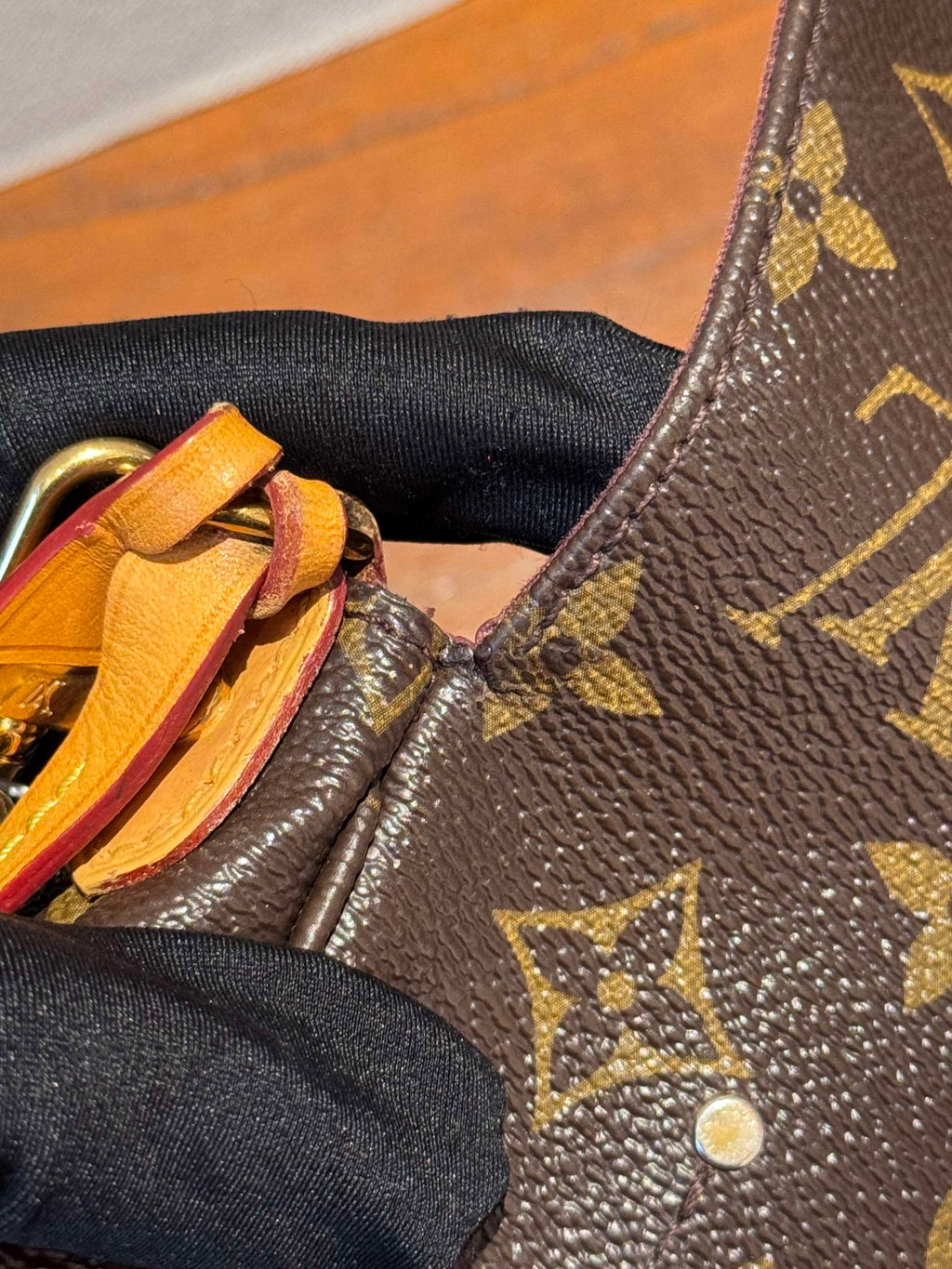 Louis Vuitton Favorite