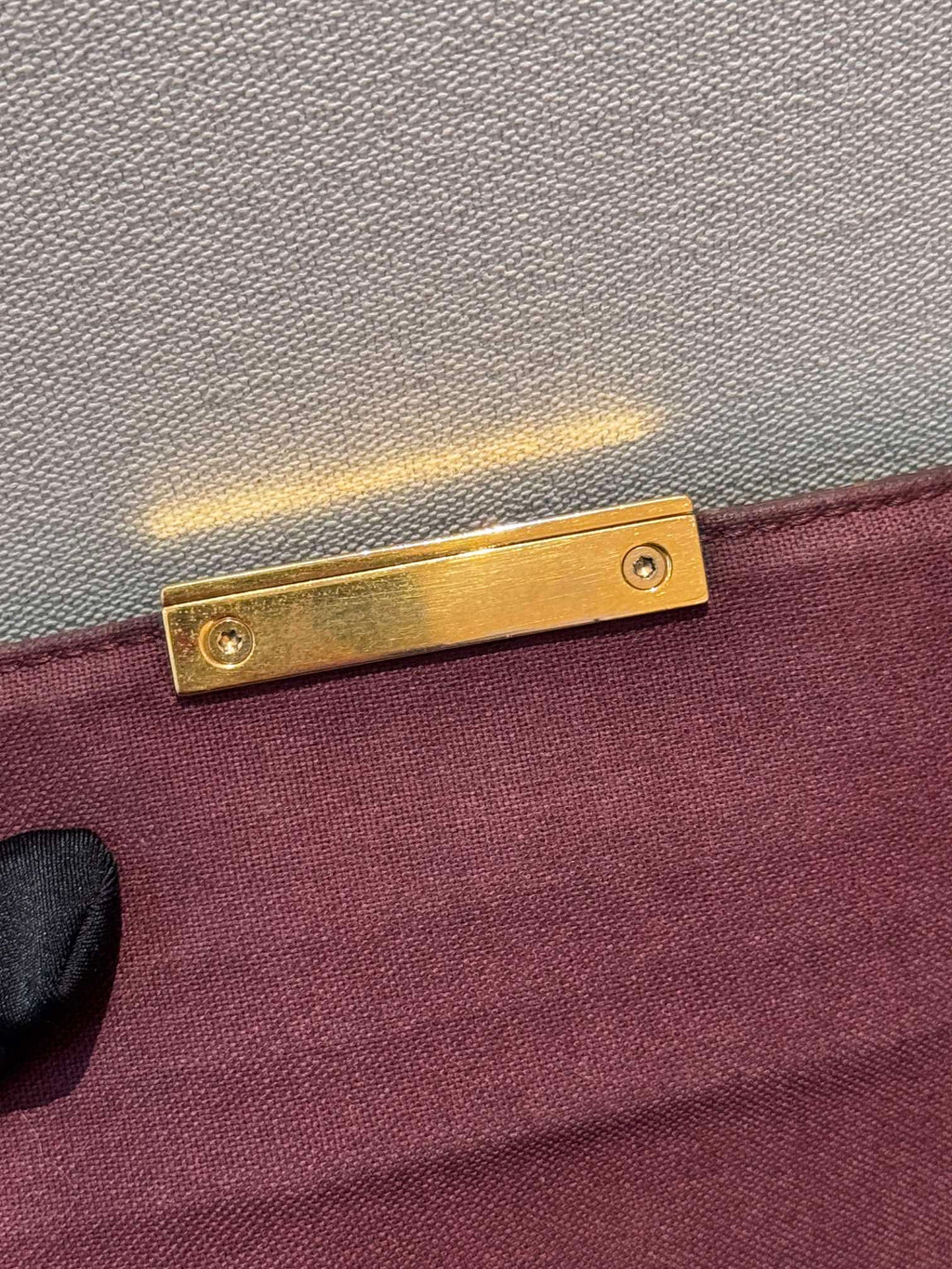Louis Vuitton Favorite