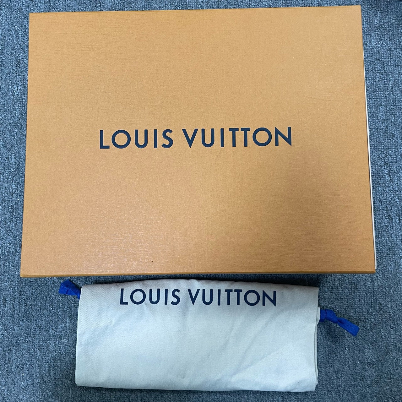 Louis Vuitton Skate shoes