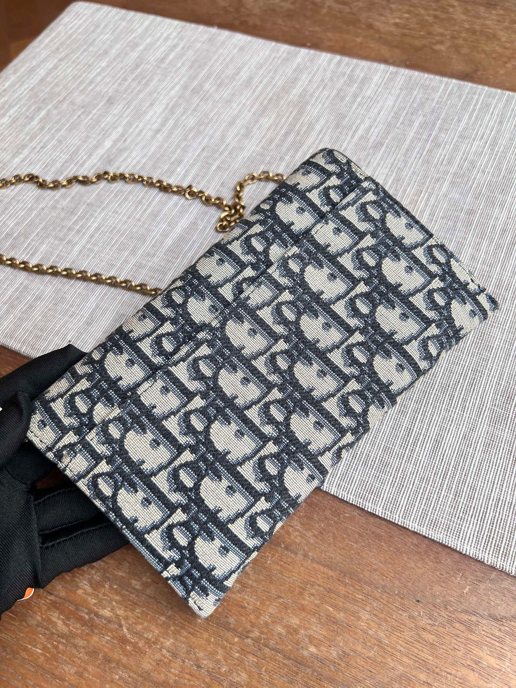 Dior Canvas Blue