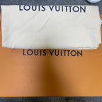 Louis Vuitton Skate shoes