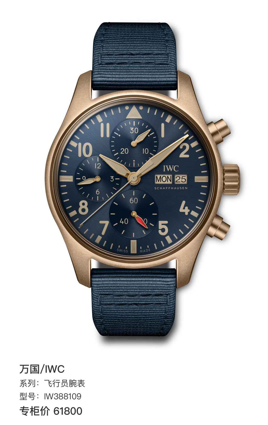IWC Pilot’s watch IW388109