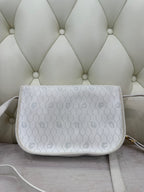 Dior Saddle Bag