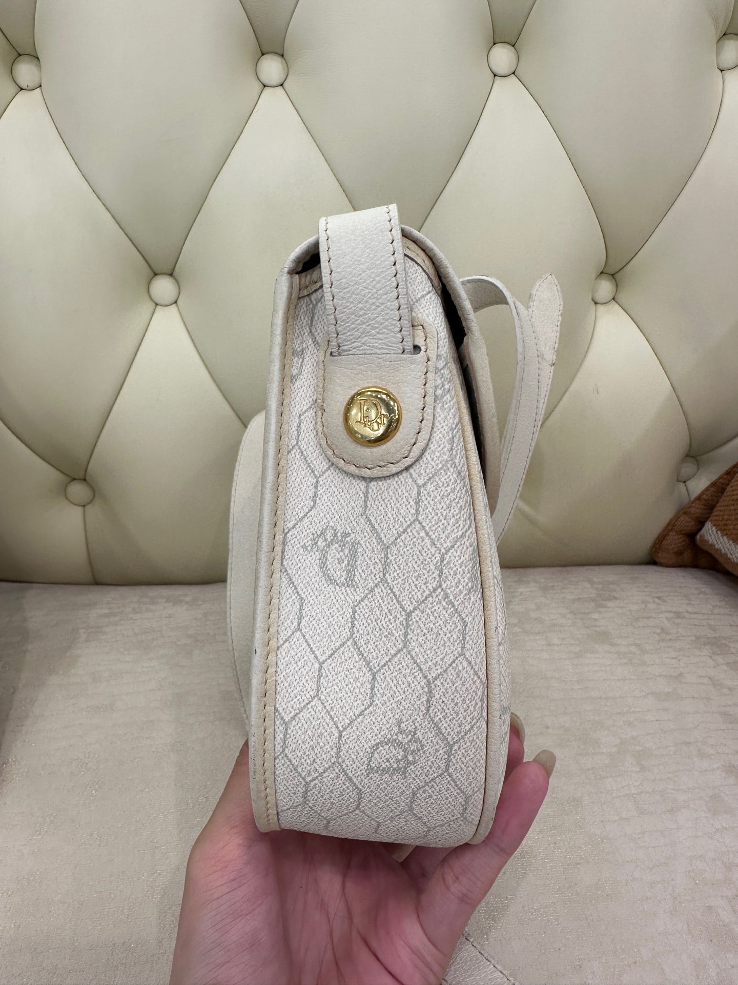 Dior Saddle Bag