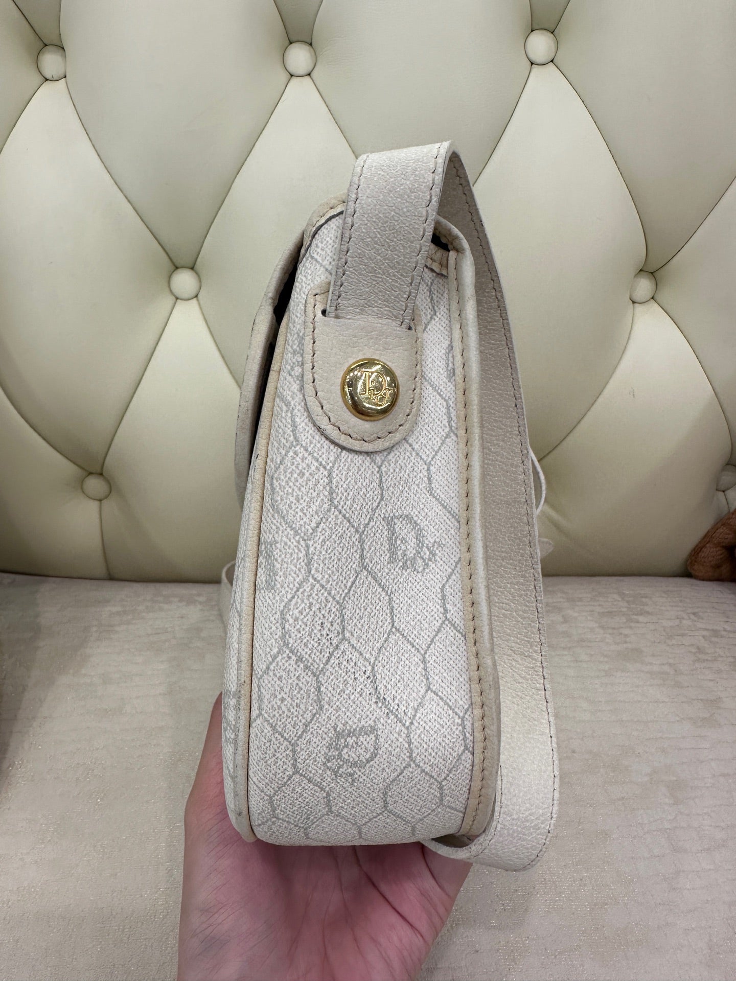 Dior Saddle Bag