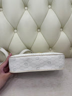 Dior Saddle Bag