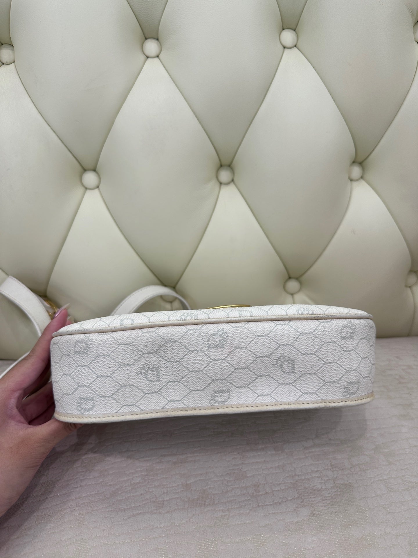 Dior Saddle Bag