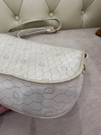 Dior Saddle Bag