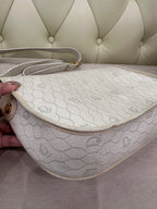 Dior Saddle Bag