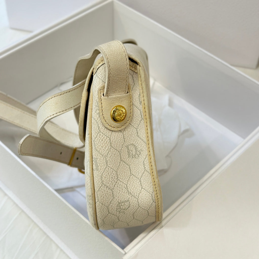 Dior Saddle Bag