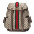 Gucci Backpack 598140HUHAT8564
