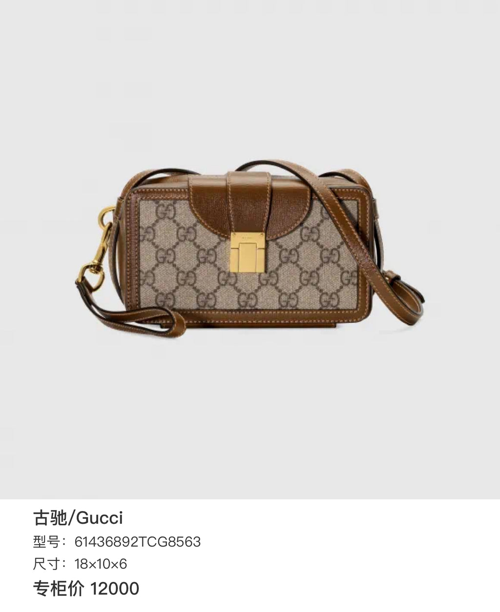 Gucci 18×10×6 61436892TCG8563
