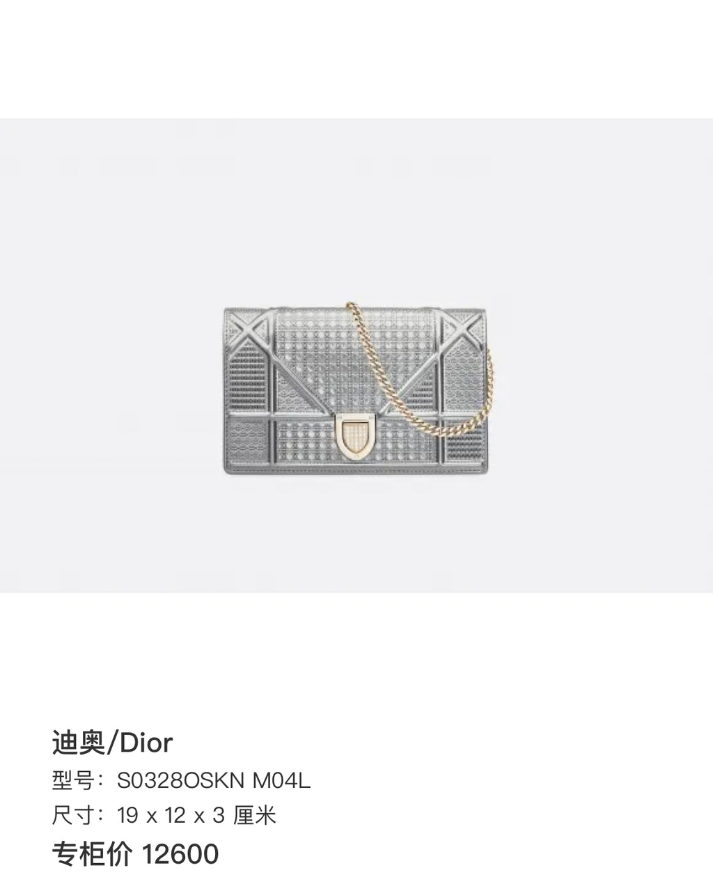 Dior Silver Crossbody 19 x 12 x 3 centimeters S0328OSKN M04L