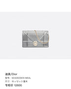 Dior Silver Crossbody 19 x 12 x 3 centimeters S0328OSKN M04L