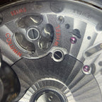 Omega Seahorse Series 45.5 215.92.46.51.01.001