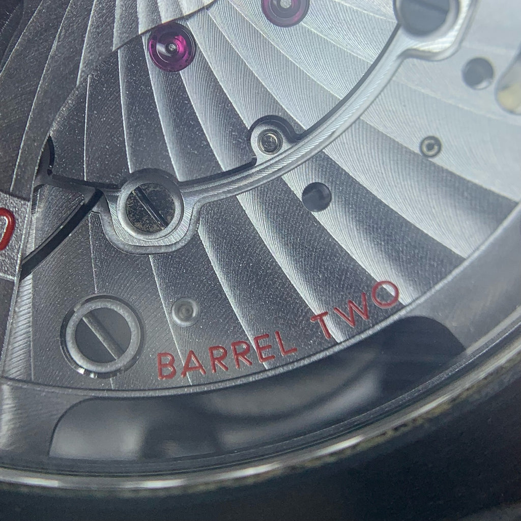 Omega Seahorse Series 45.5 215.92.46.51.01.001