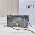 Dior Silver Crossbody 19 x 12 x 3 centimeters S0328OSKN M04L