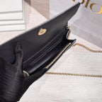 Dior Silver Crossbody 19 x 12 x 3 centimeters S0328OSKN M04L