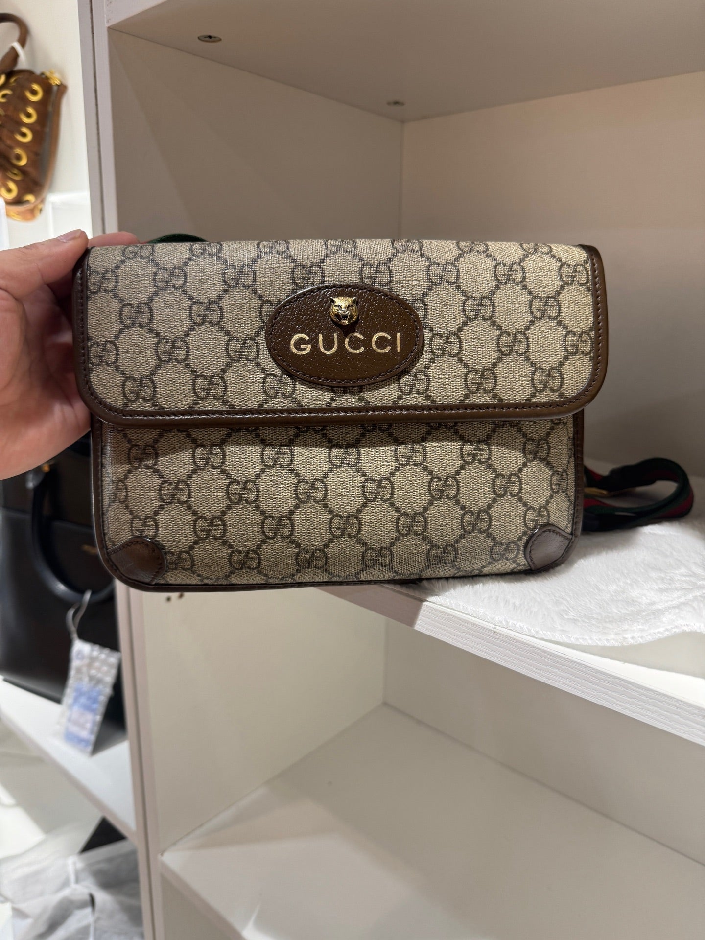Gucci Belt Bag & Fanny Pack